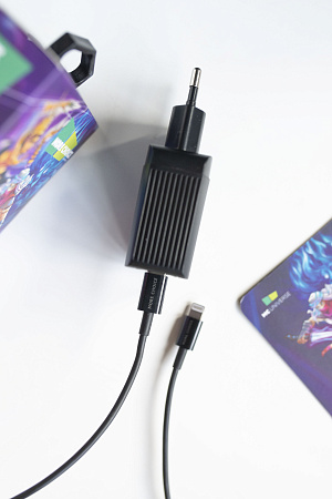 СЗУ  Smart 2USB 3.0A PD 20W+QC3.0 быстрая зарядка для Lightning Type-C More choice NC71Si